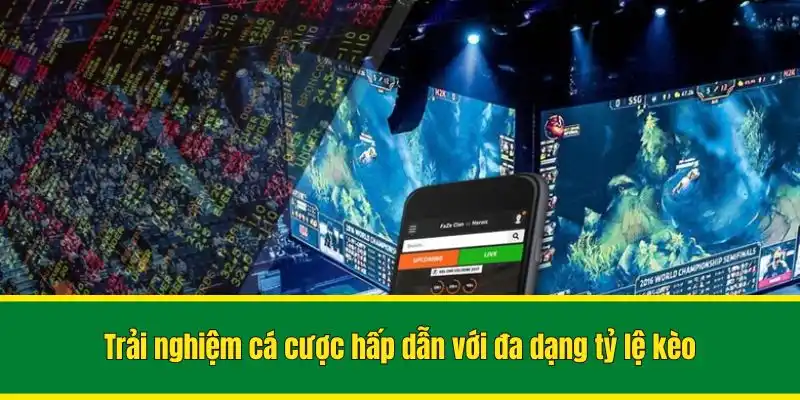 Trải nghiệm cá cược hấp dẫn với đa dạng tỷ lệ kèo